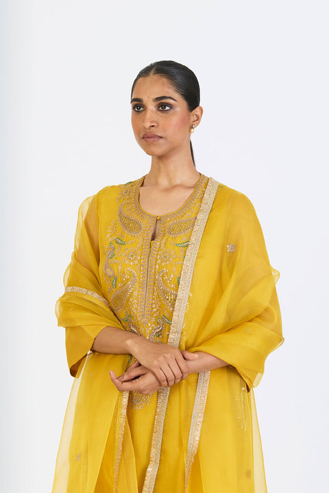 Almas Dupatta - Lime