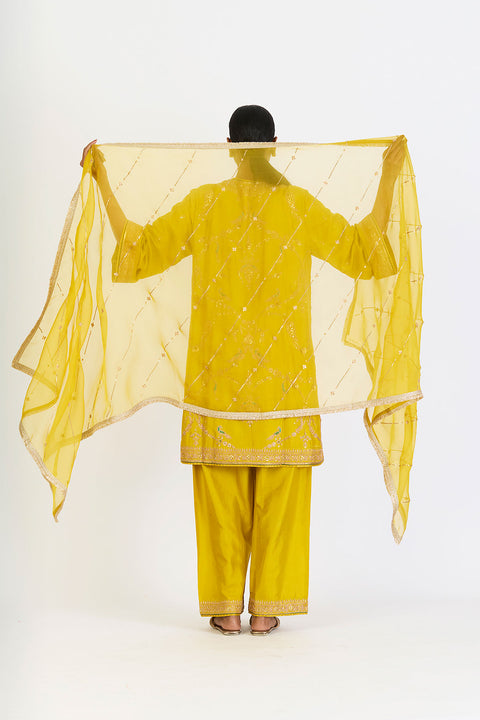Lehr Dupatta - Lime