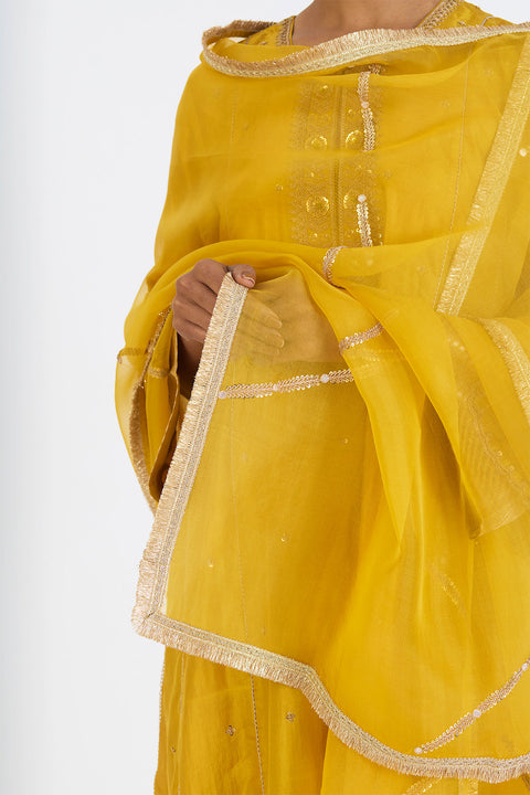 Lehr Dupatta - Lime