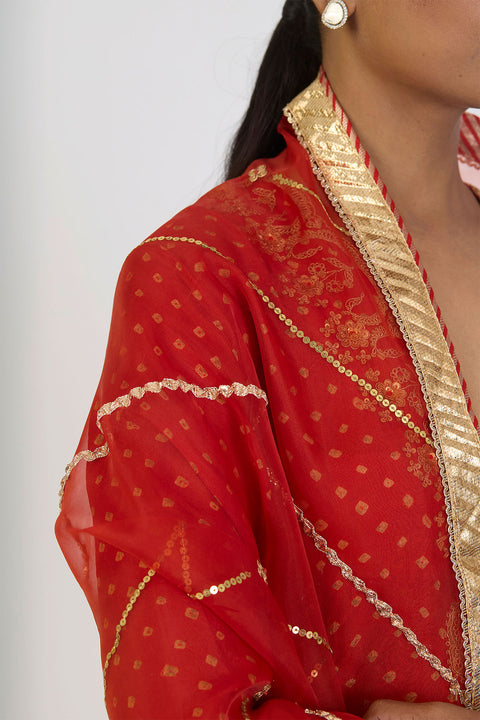 Pragya Dupatta - Rust