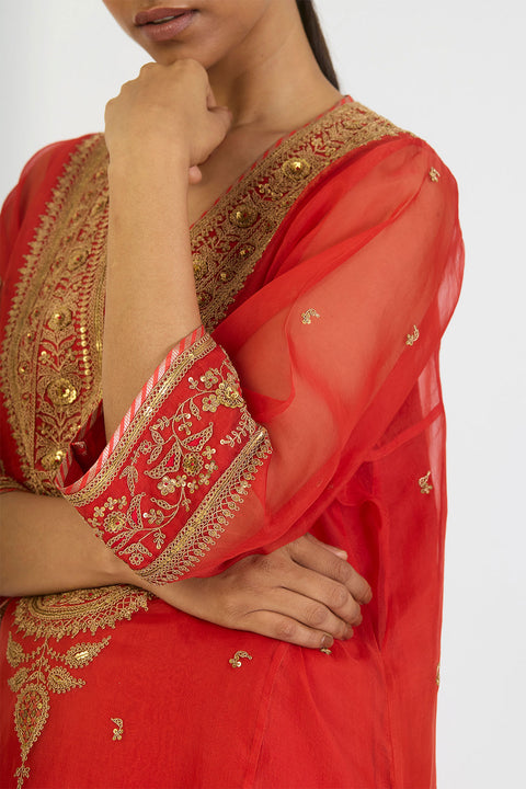 Aarohi Kurta and Pant - Rust