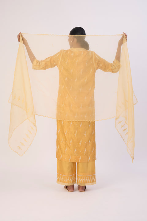 Kesar Dupatta