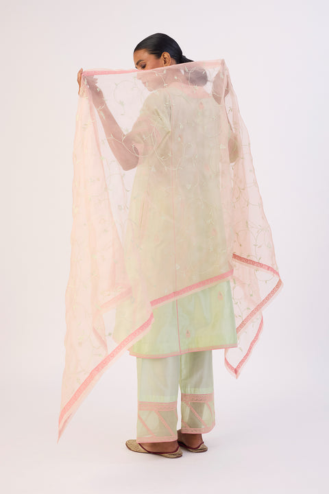 Raima Dupatta