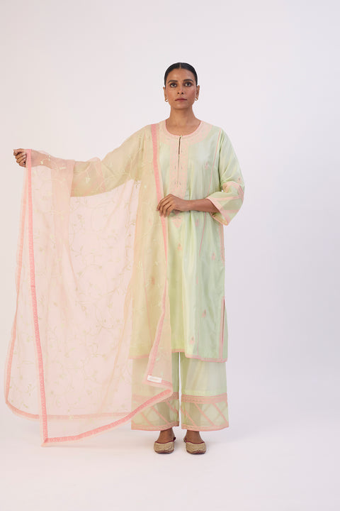 Raima Dupatta