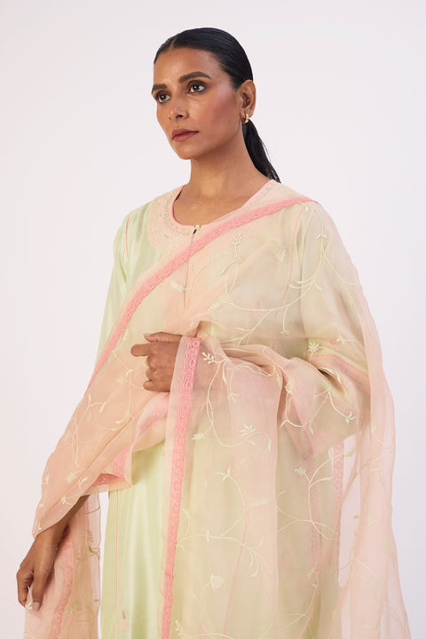 Raima Dupatta
