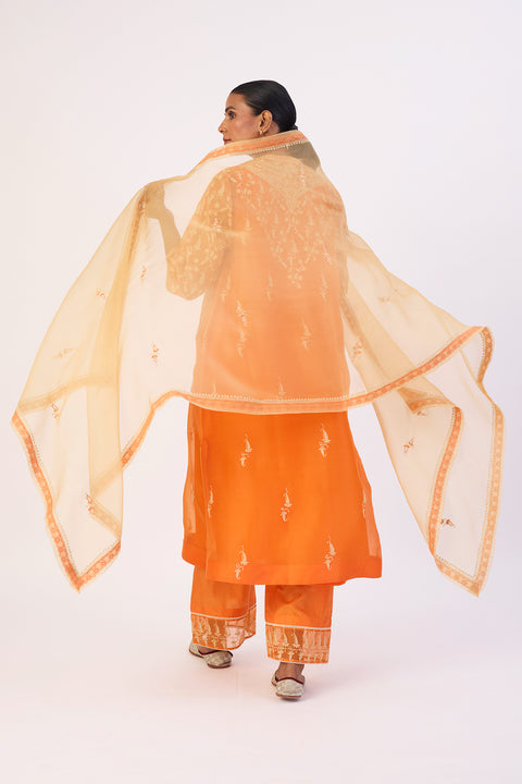 Vastra Dupatta