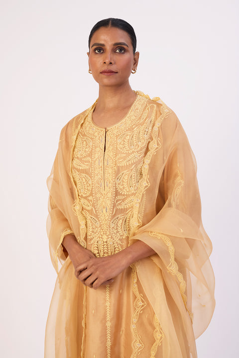 Kashni Dupatta