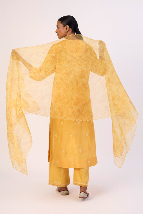 Raahi Dupatta