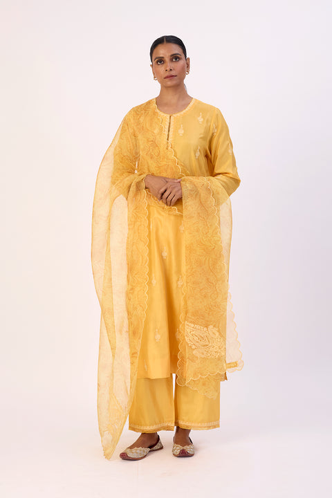 Dahlia Kurta and Pant