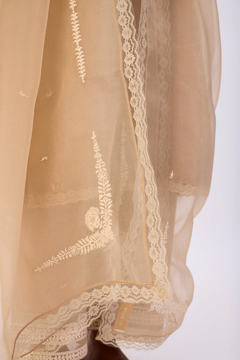 Zareen Dupatta