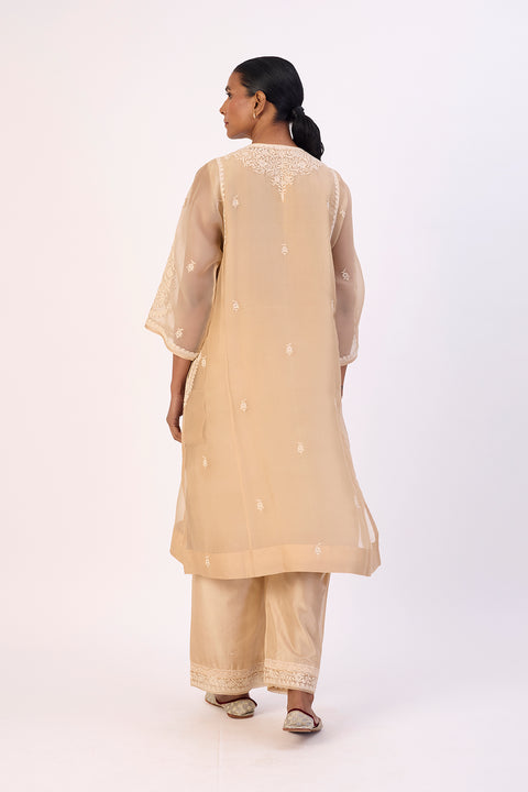 Zivra Kurta and Pant
