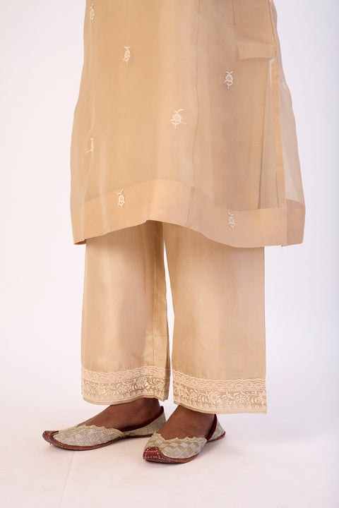 Zivra Kurta and Pant