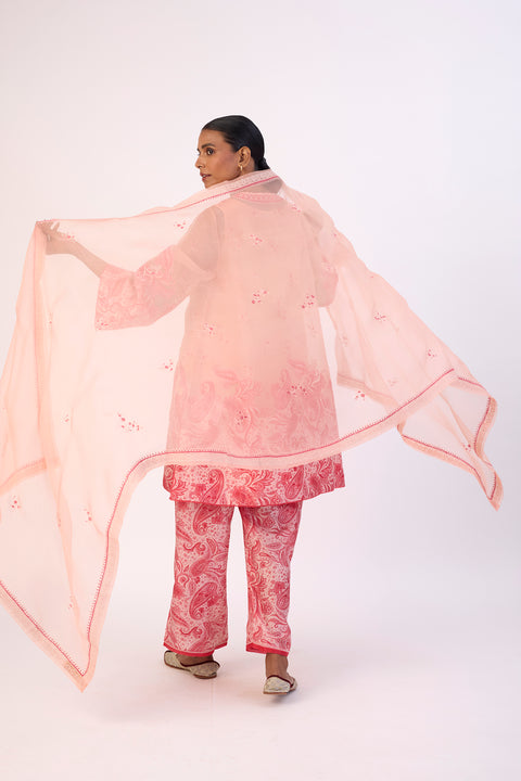 Mayuri Dupatta