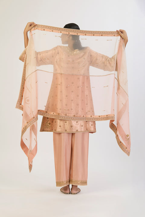 Kamakshi Dupatta - Peach