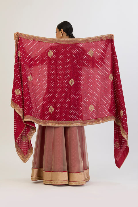 Sharavi Bandhani Dupatta - Red