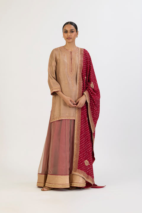 Sharavi Bandhani Dupatta - Red