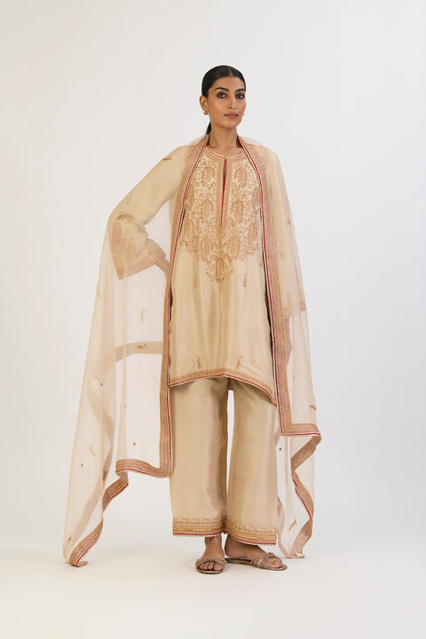 Pranita Kurta and Pant - Oats