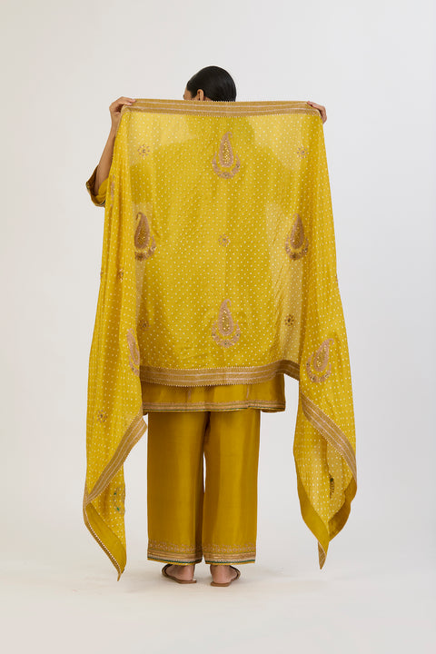 Jashvi Bandhani Dupatta - Lime Green