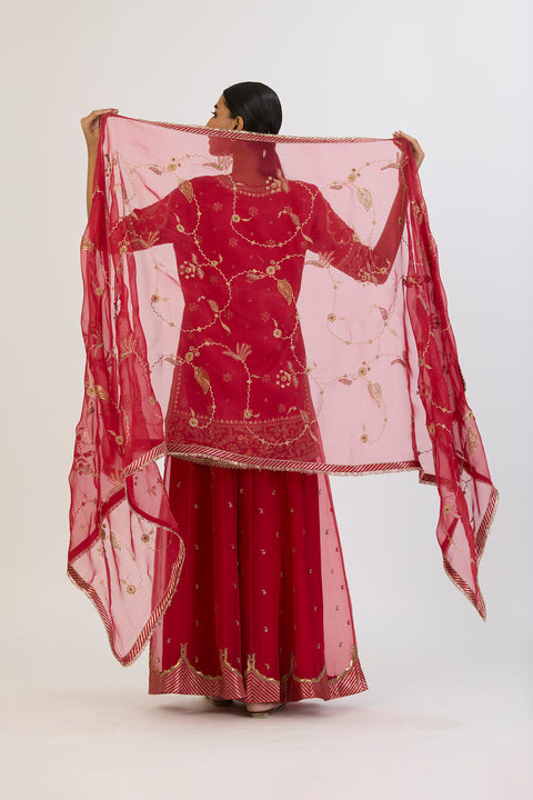 Chitra Dupatta - Red