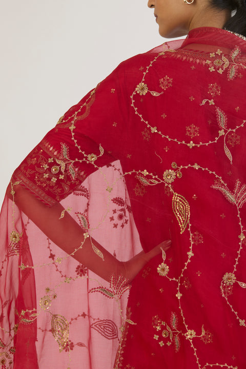 Chitra Dupatta - Red