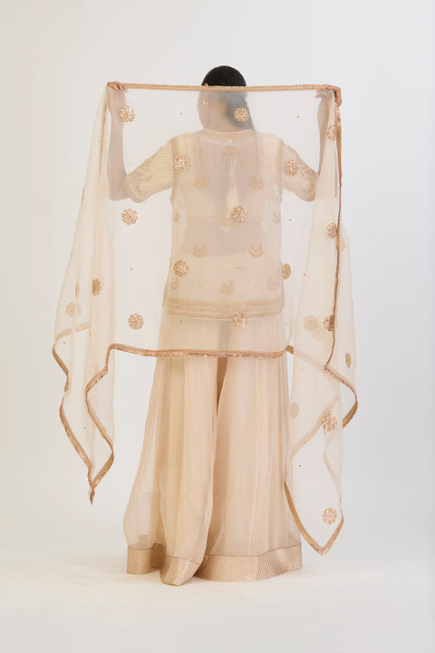 Vyanika Dupatta - Oats