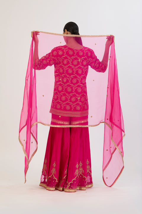 Rasa Dupatta - Fuschia