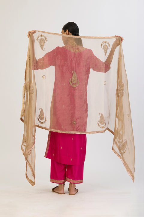 Aditi Dupatta - Gold