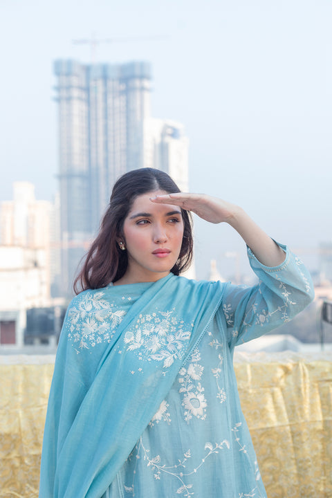 Darshana Dupatta-Powder Blue