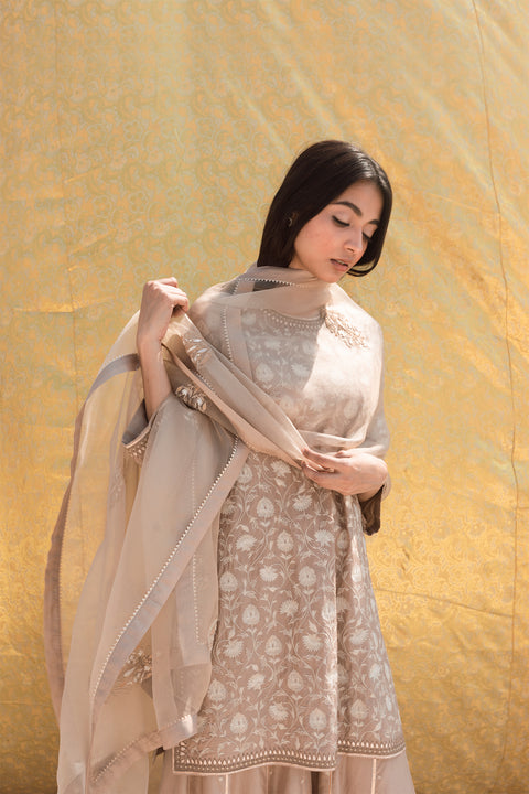 Nisha Kurta and Sharara-Dark Beige