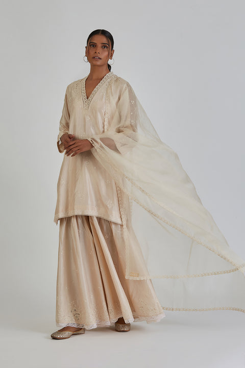 Aneeta Dupatta-Ivory