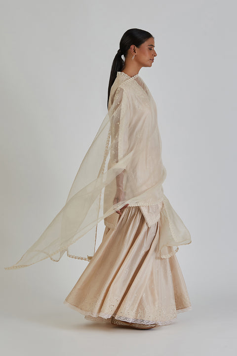 Aneeta Dupatta-Ivory