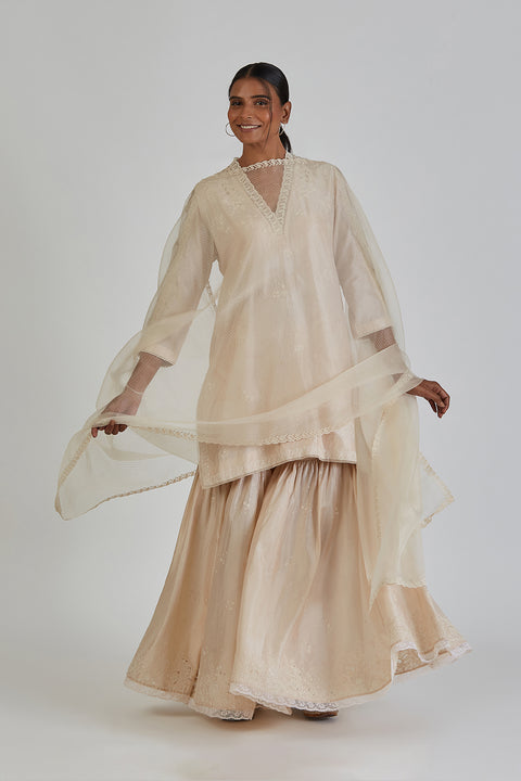 Aneeta Dupatta-Ivory