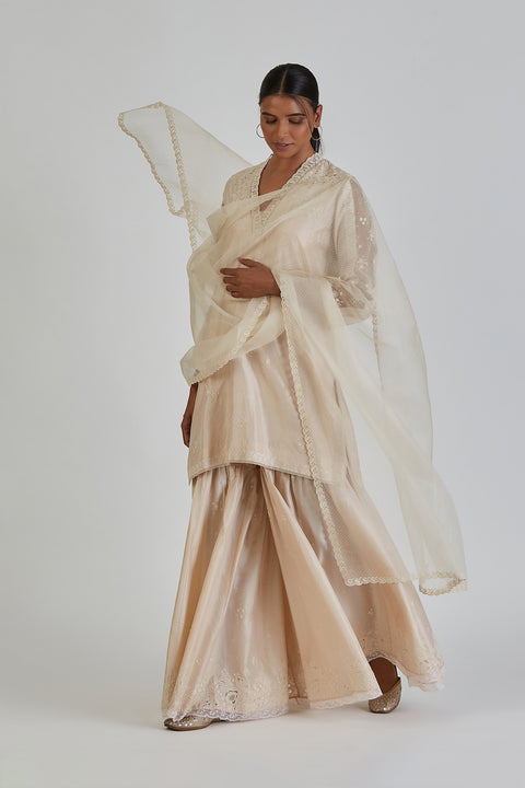 Aneeta Dupatta-Ivory