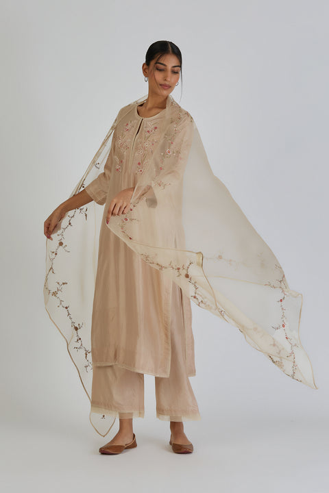 Divena Kurta and Pant-Beige