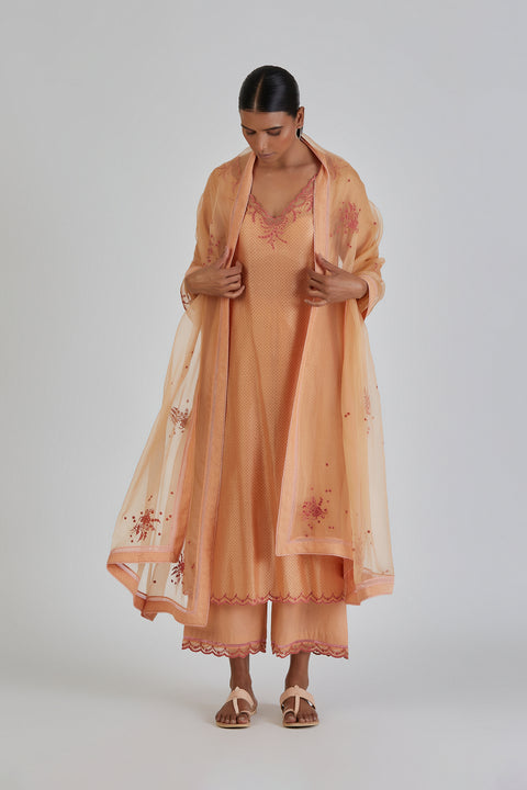 Avantika Kurta and Pant-Light Orange