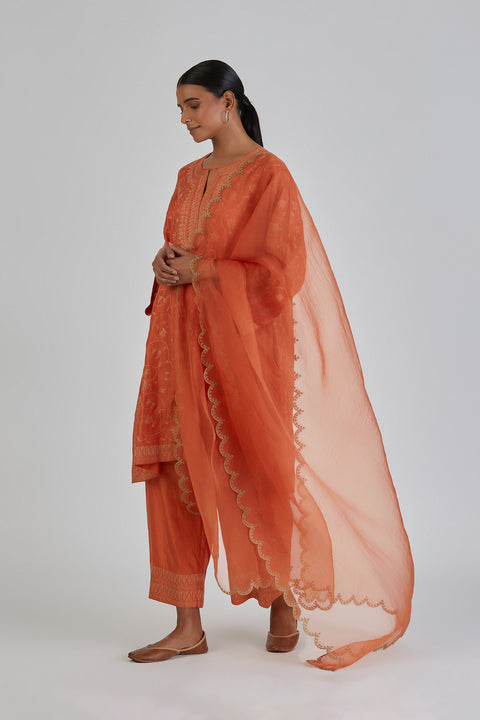 Daneen Kurta and Pant-Orange