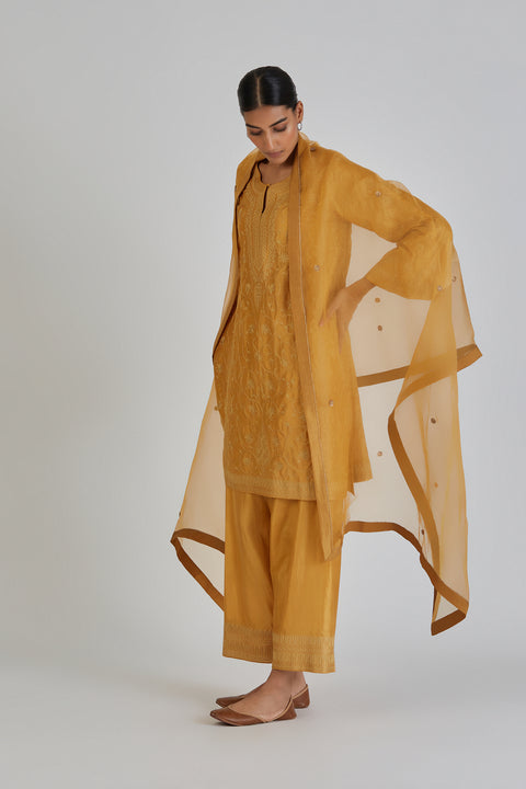 Daneen Kurta and Pant-Yellow