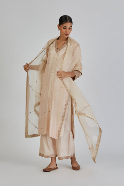 Neva Kurta and Pant-Ivory