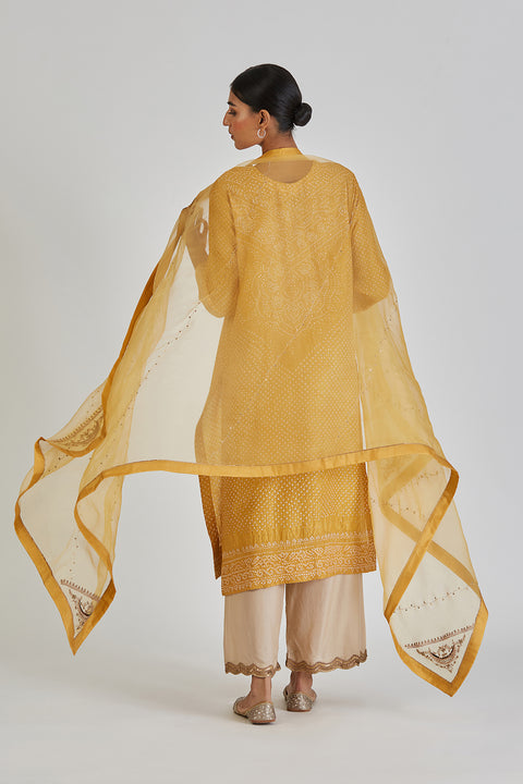 Reem Dupatta-Yellow