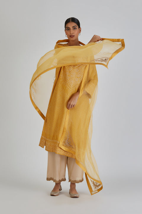 Mihika Kurta and Pant-Yellow