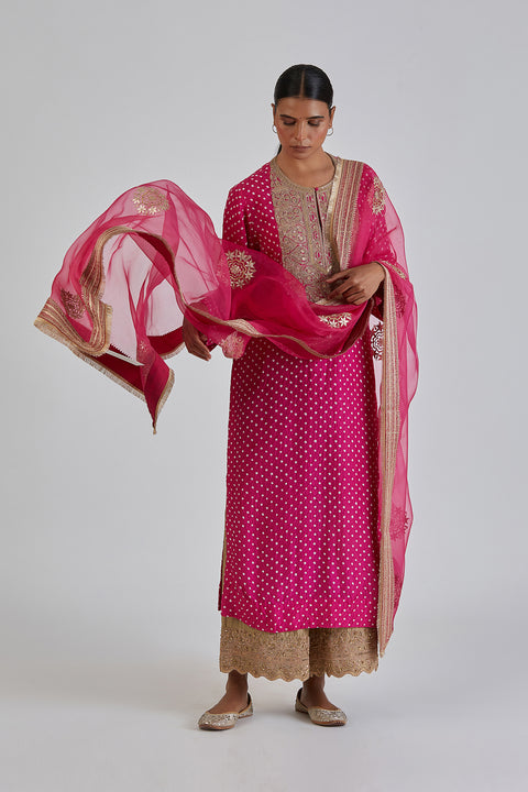 Mahi Kurta and Pant-Fuschia Pink