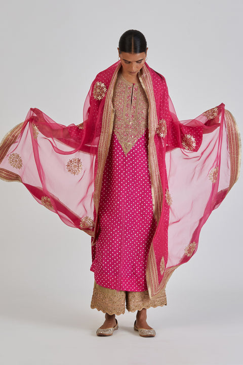 Asawari Dupatta-Fuschia Pink