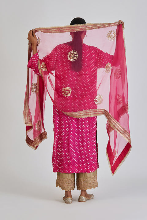 Asawari Dupatta-Fuschia Pink