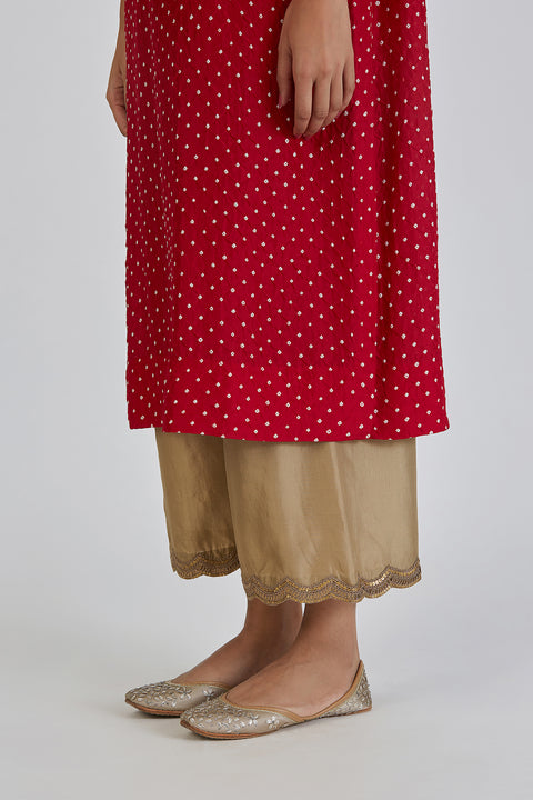 Amba Kurta and Pant-Red