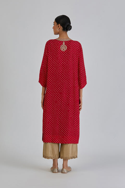 Amba Kurta and Pant-Red