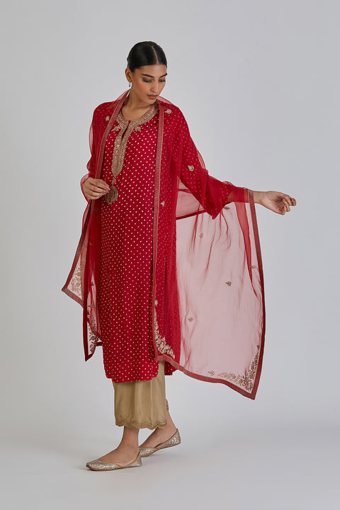 Amba Kurta and Pant-Red
