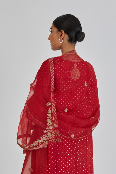 Vallika Dupatta-Red