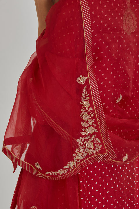 Vallika Dupatta-Red