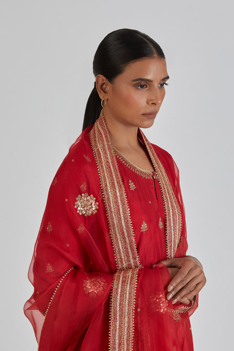 Rajeshwari Dupatta-Red