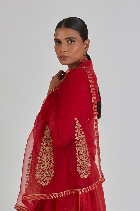 Kamya Dupatta-Red
